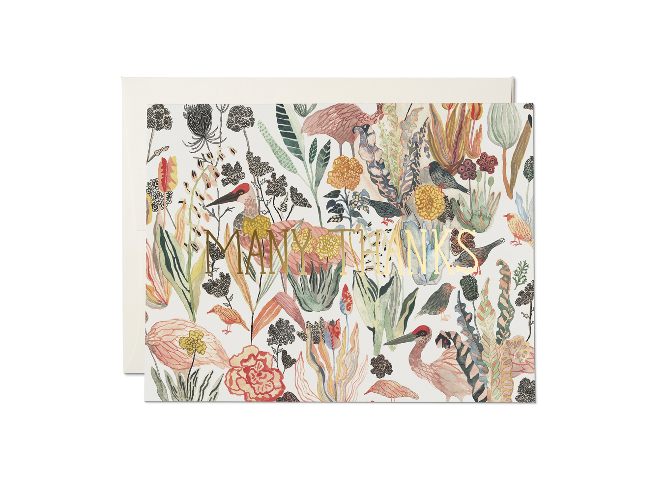Many Thanks  Garden - Boxed Set Red Cap