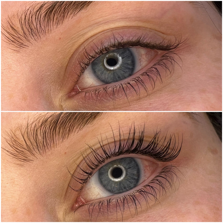 Elleeplex Profusion Lash Lamination Online Course