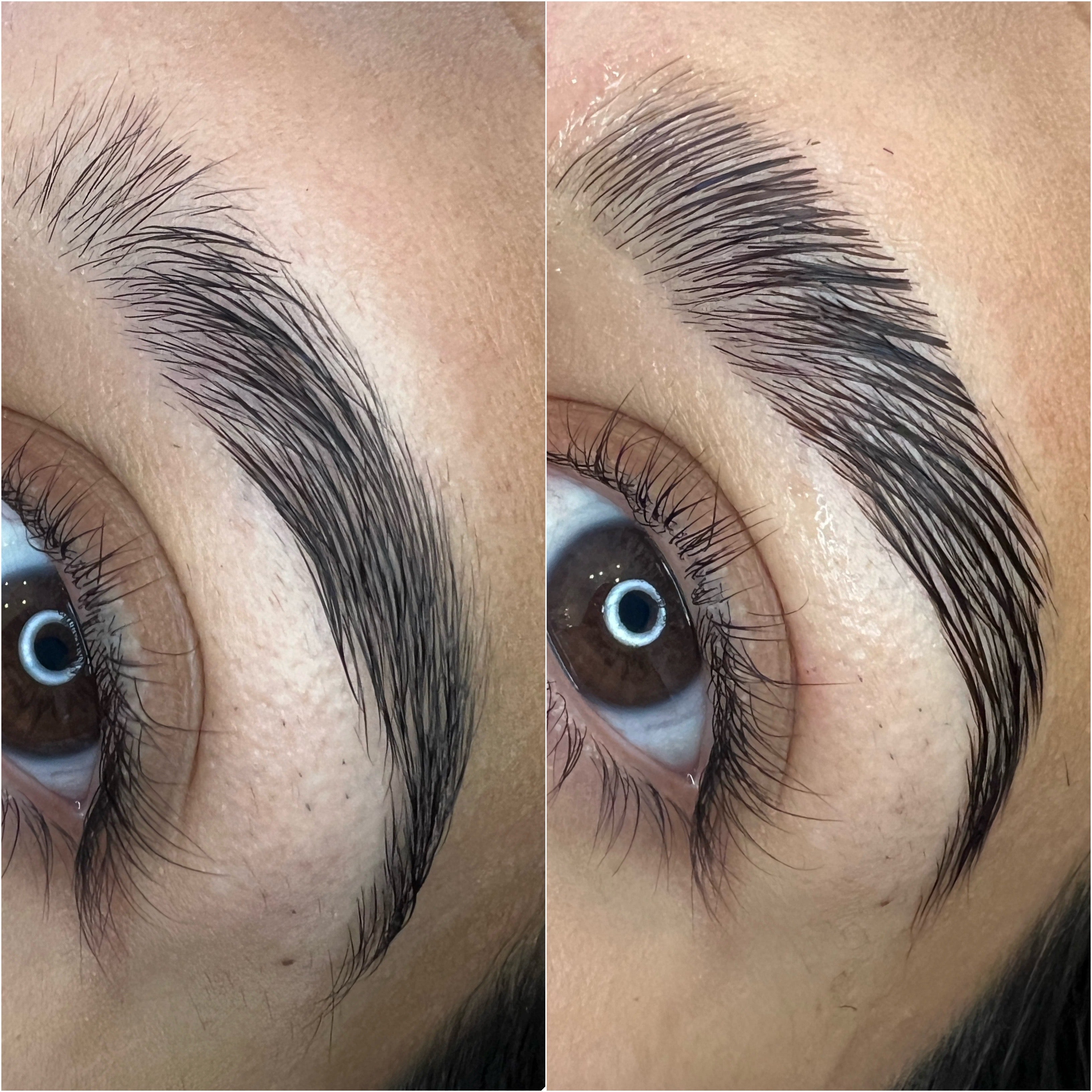 Elleeplex Profusion Brow Lamination