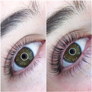 SUNDAY LASH LAM + TINT MODEL