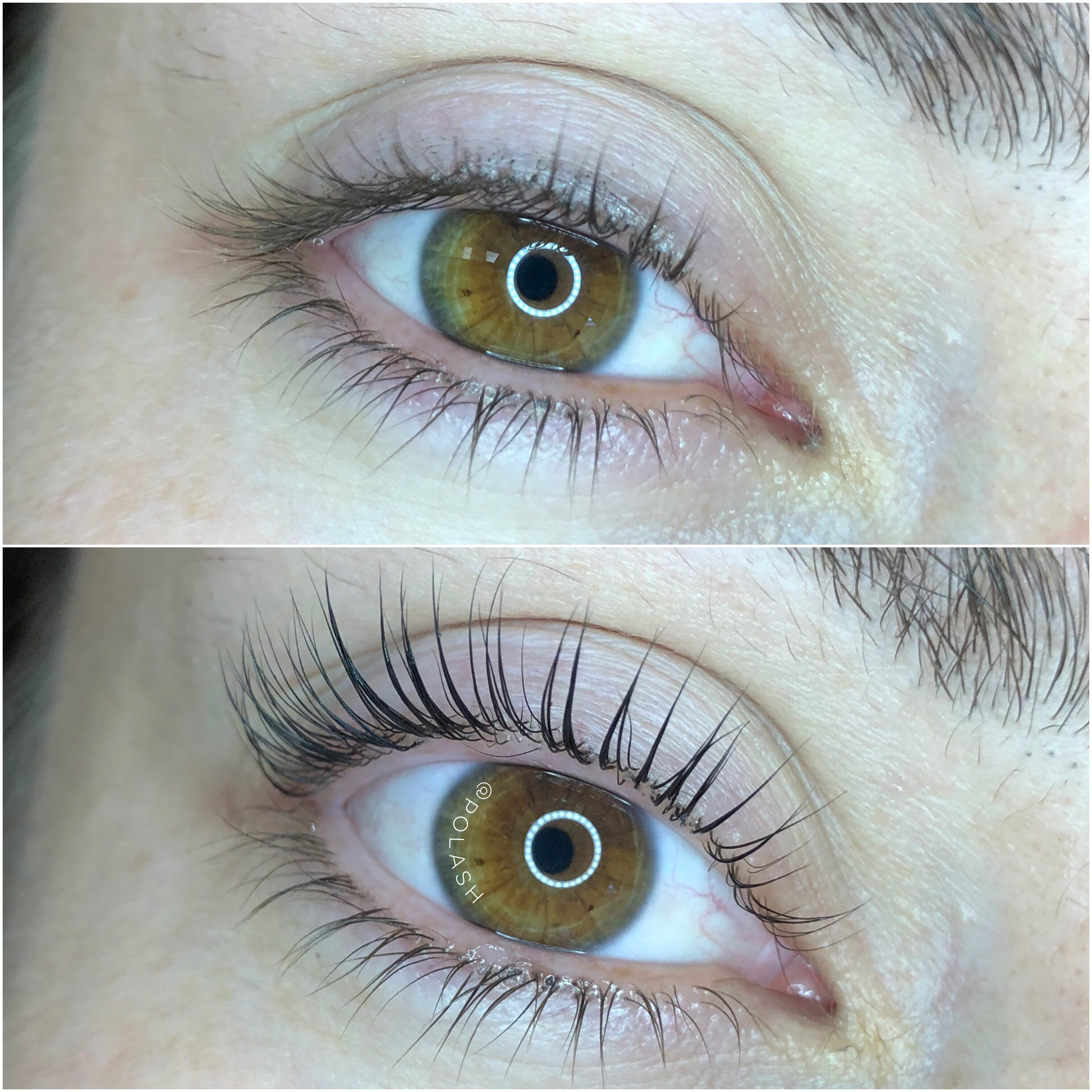 Elleebana One Shot Lash Lift + Tint In-House Course