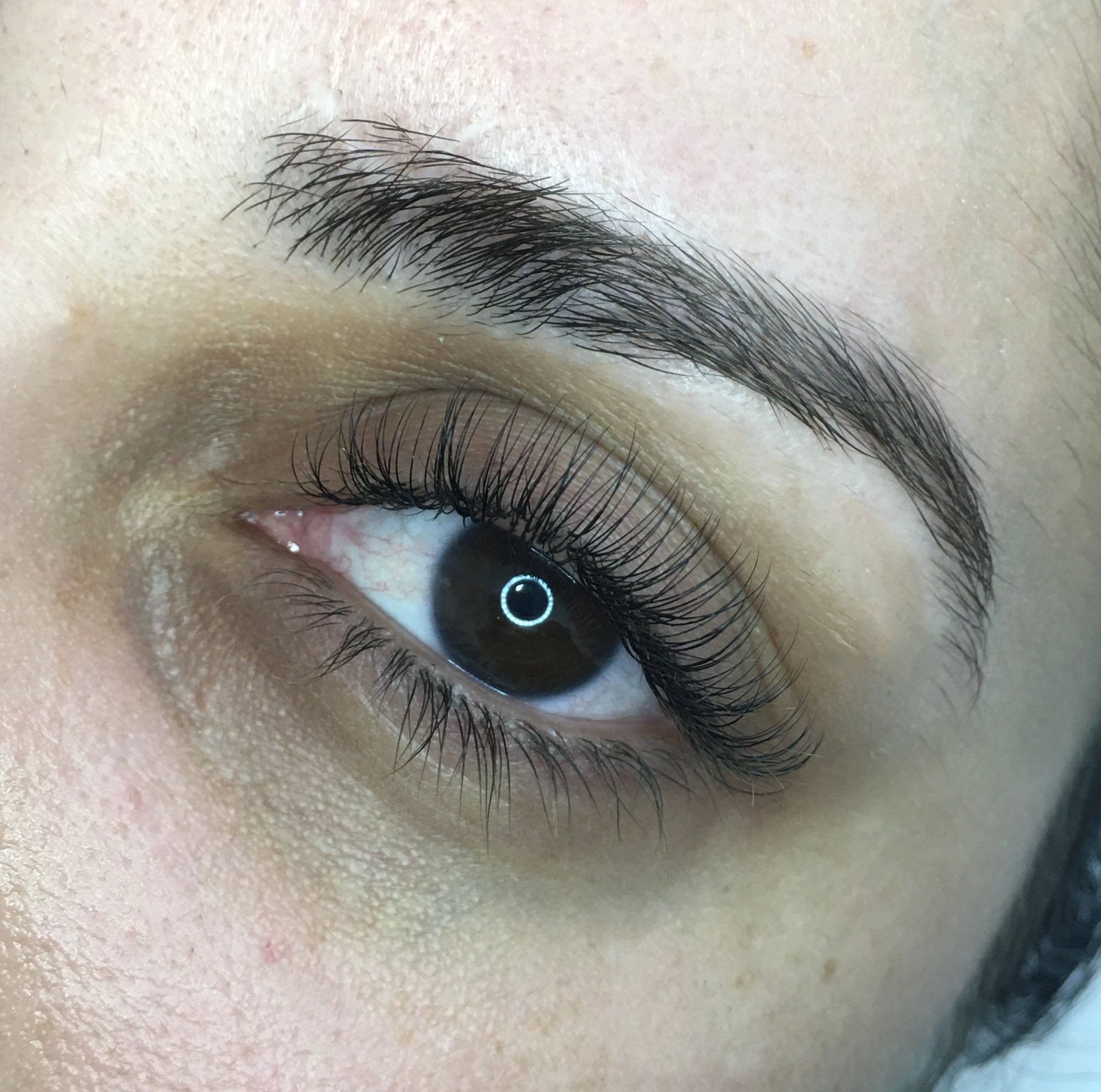 Elleebana Classic Lash Extensions Advanced  Course
