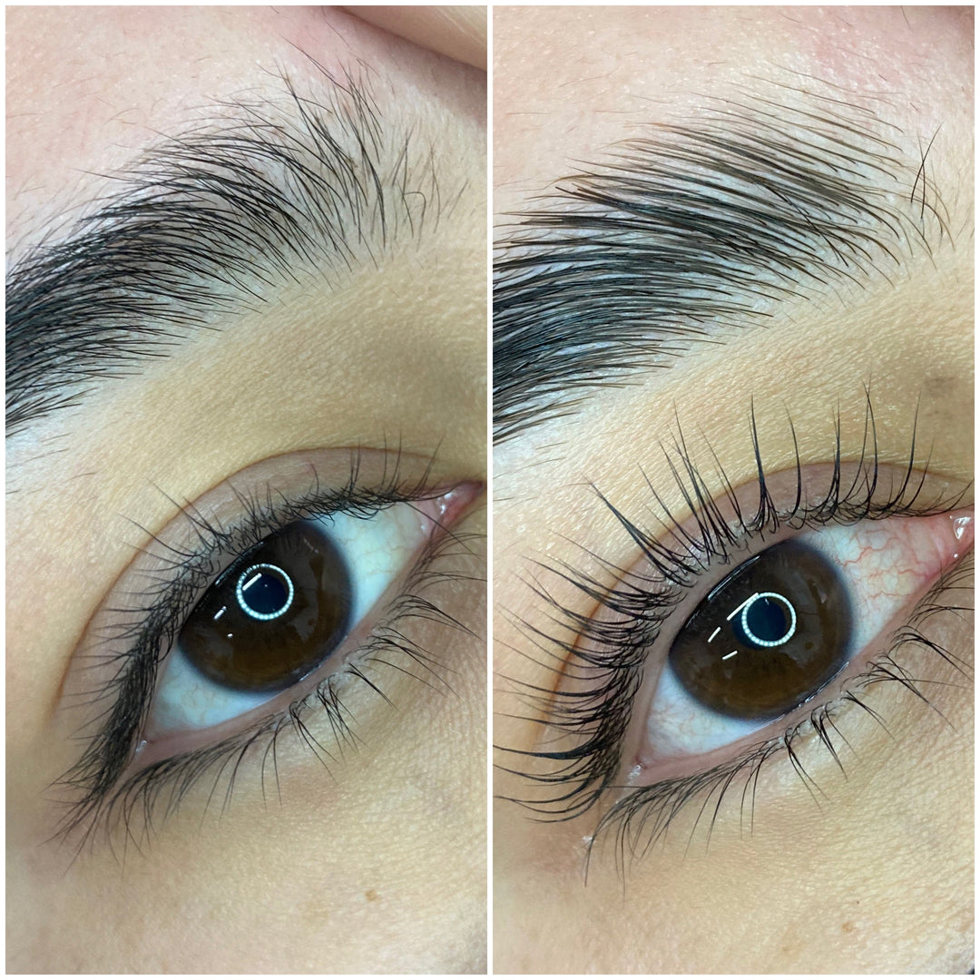 Online Conversion Course // Elleeplex Profusion Lash Lamination