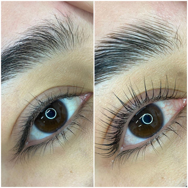 Elleeplex Profusion 2 Day  Lash + Brow Lamination Hands On