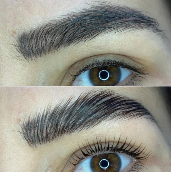 Elleeplex Profusion 2 Day  Lash + Brow Lamination Hands On